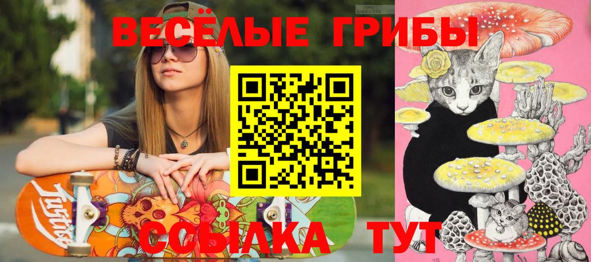 Сухой Лог  Галлюциногенные грибы ЛСД  Вход с VPN  Псилоцибиновые грибы MAGIC MUSHROOMS 