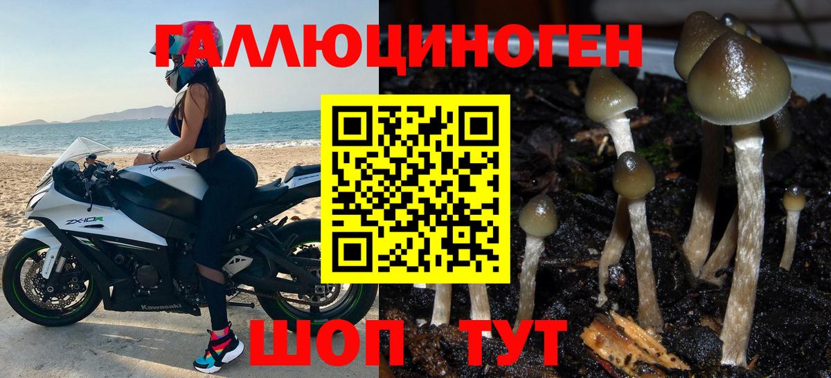 Галлюциногенные грибы мухоморы Сухой Лог